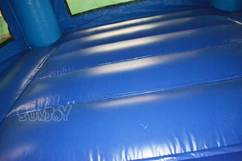 blue dog bouncer jumping floor