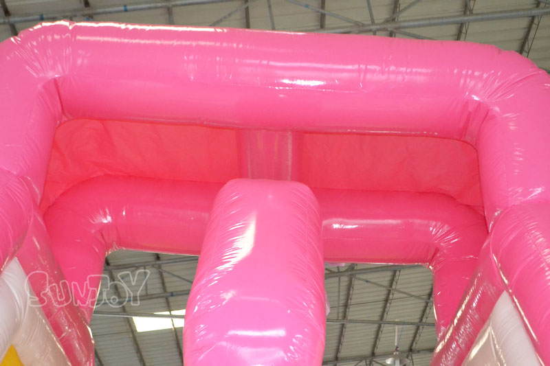 pink dolphin water slide sunshade roof